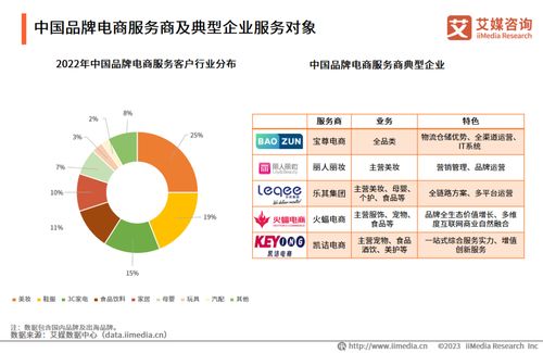 2023年中國(guó)品牌電商服務(wù)商行業(yè)研究報(bào)告 信息咨詢服務(wù)的演進(jìn)與展望